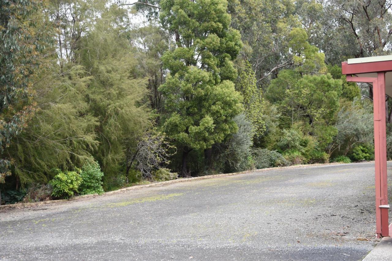 Sanctuary House Resort Motel Healesville Exterior foto