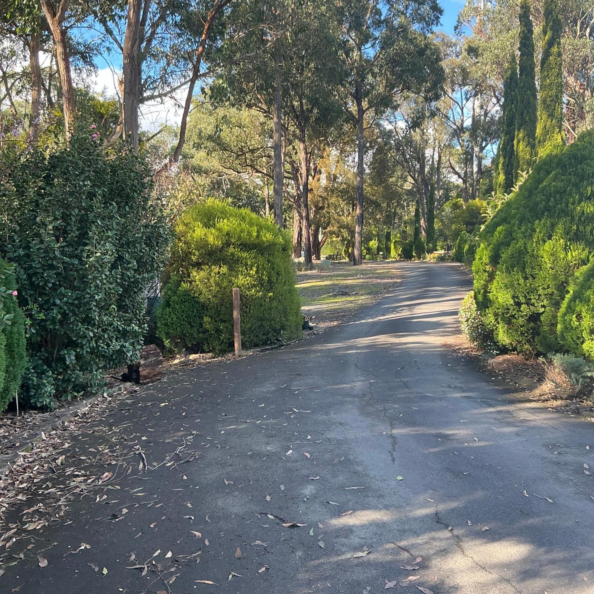 Sanctuary House Resort Motel Healesville Exterior foto