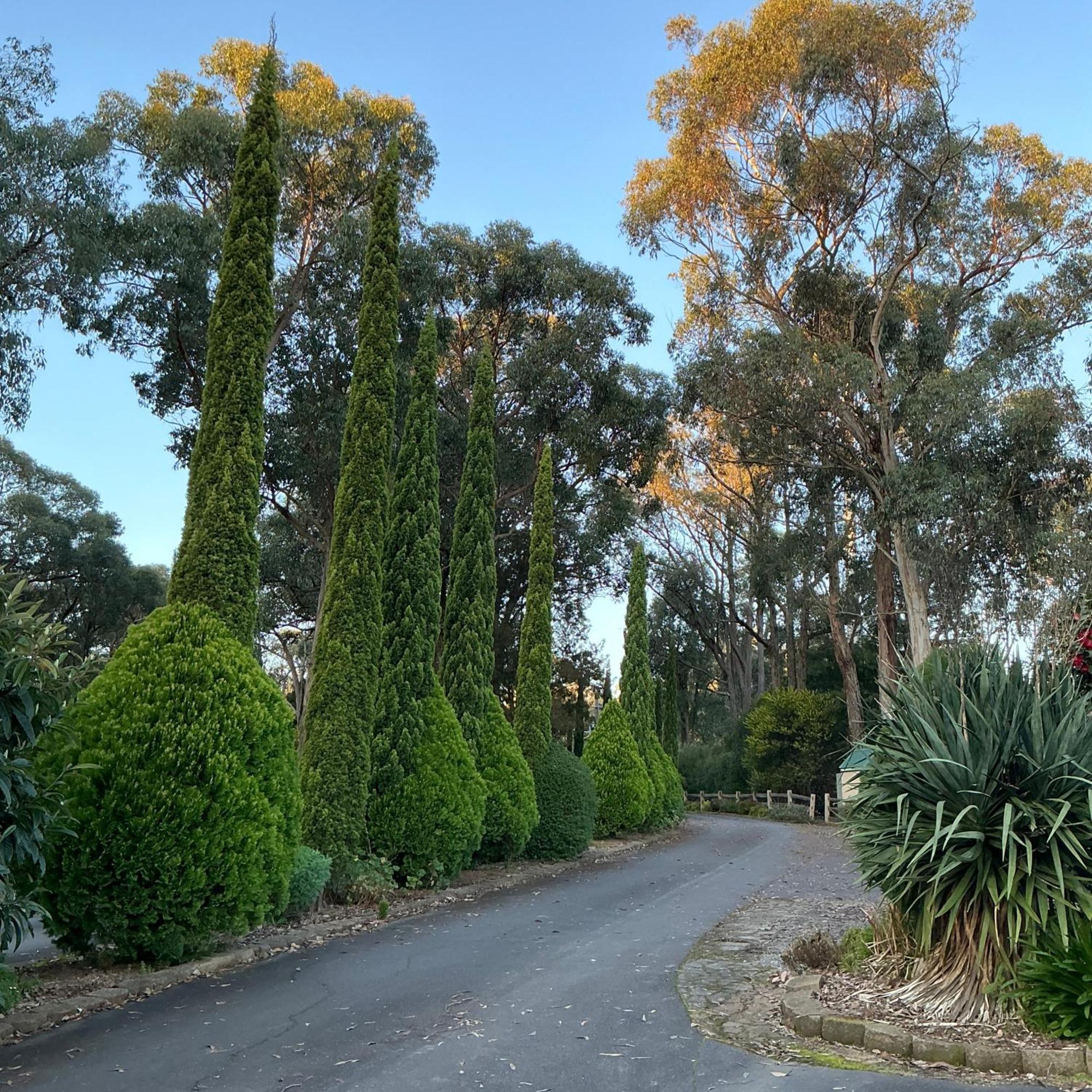 Sanctuary House Resort Motel Healesville Exterior foto
