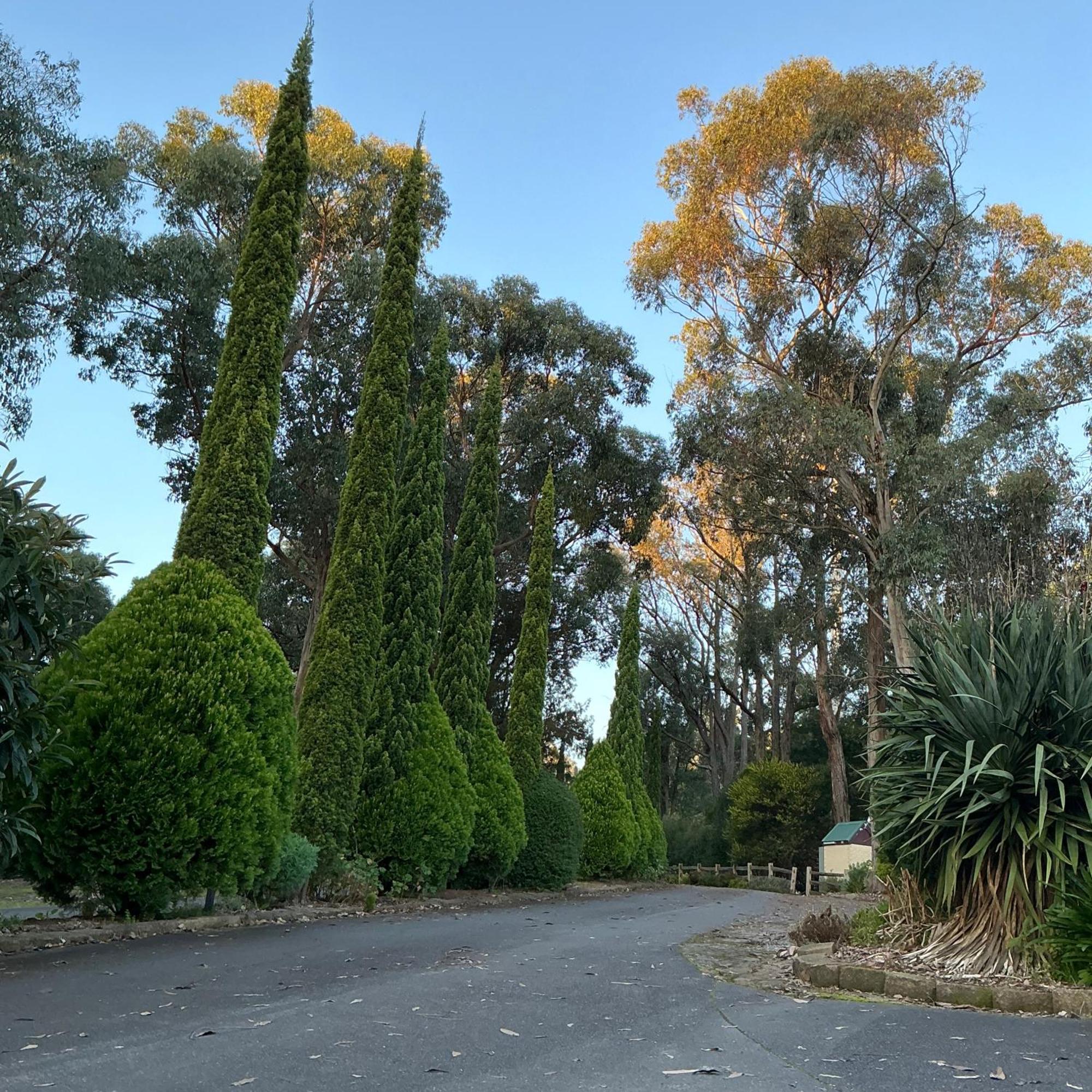 Sanctuary House Resort Motel Healesville Exterior foto