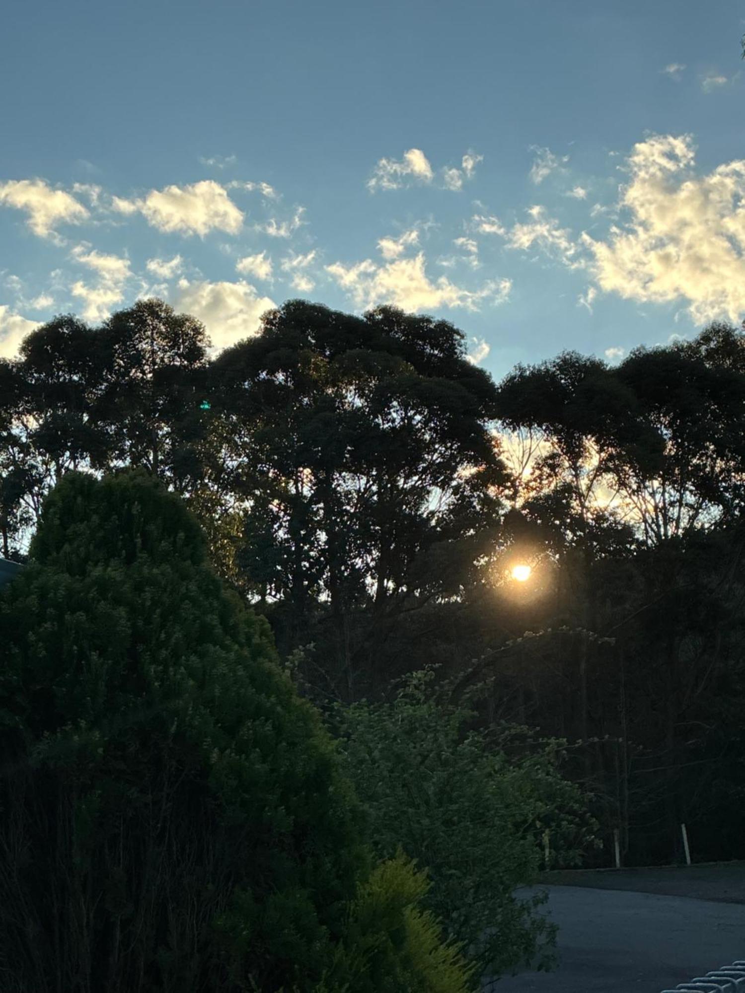 Sanctuary House Resort Motel Healesville Exterior foto
